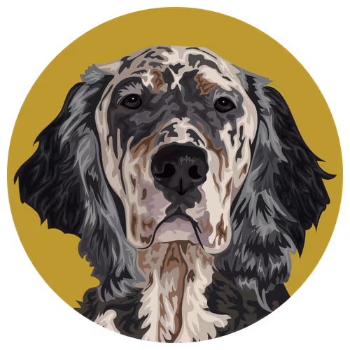 Item #54766349128176429303044182404049584425310907481653304317570413871558704496641 Media