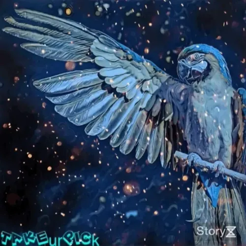 Item #104973995037557965458007691260996651319749133821594946210384414000228971053057 Media