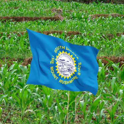 Item #66014886227560344638299723756269507276387272419138927399704737813018034831361 Media