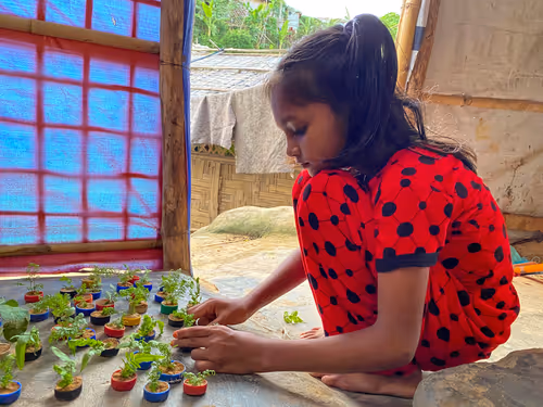 Item #28483083615204022371300351477704581571274768988091129970329682071372766904321 Media