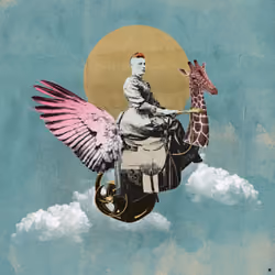 Wings
