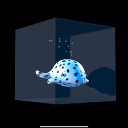 Pocket Whales - Series 01 - 06 - Pongo