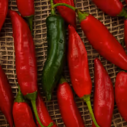 Red Hot Chille Peppers Brazilian - Gastronomie NFT