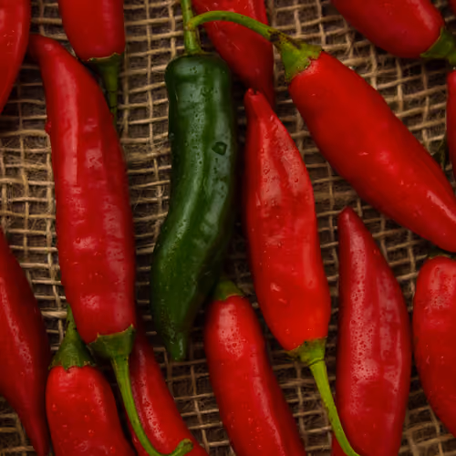 Red Hot Chille Peppers Brazilian - Gastronomie NFT