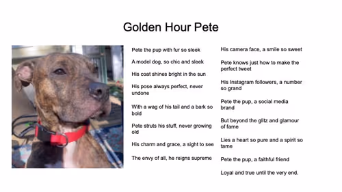 Item #20038973743233294056584381137576175223397750640616128058375055335562399449089 Media