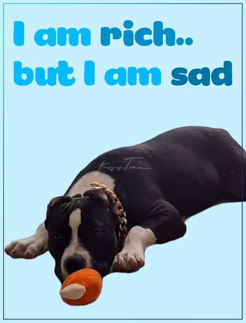 Item #103606411814514267144441239329390381368364317226309774540220525460262980943873 Media