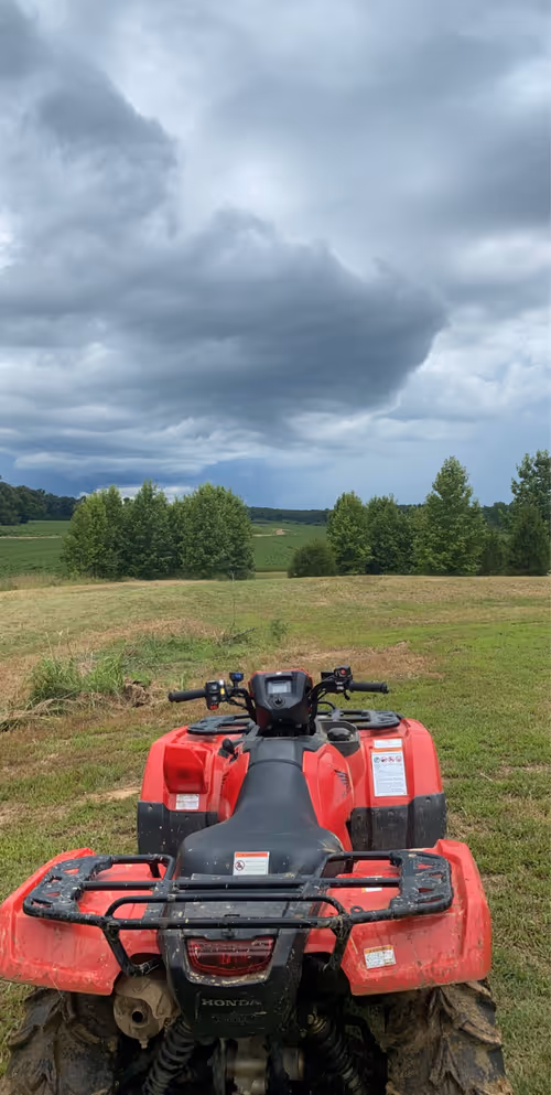 Item #13117262757114673310370121538059903642779255045435098403498374963967117230081 Media