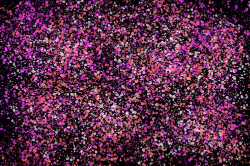 Item #944858660688572096584618472555991747686703840338442188877309578570268409857 Media