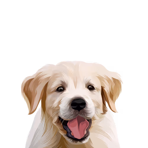 FunkyETHLord Collection