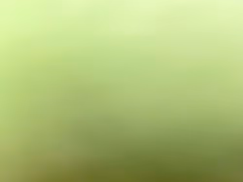 Item #34814088845477629227704468099299342434369579888194691644291829445421210533889 Media