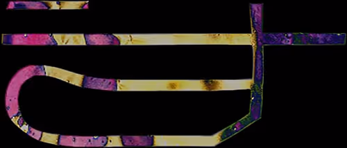 Item #25134024236616184979521667367921431367203659848766423059433089105257048310760 Media