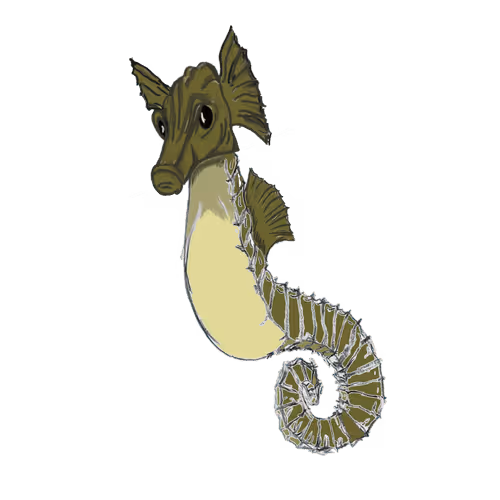 HippoMar Genesis Collection