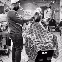 40449787652065743018640773044495240111019622512701765753694832743267581296641