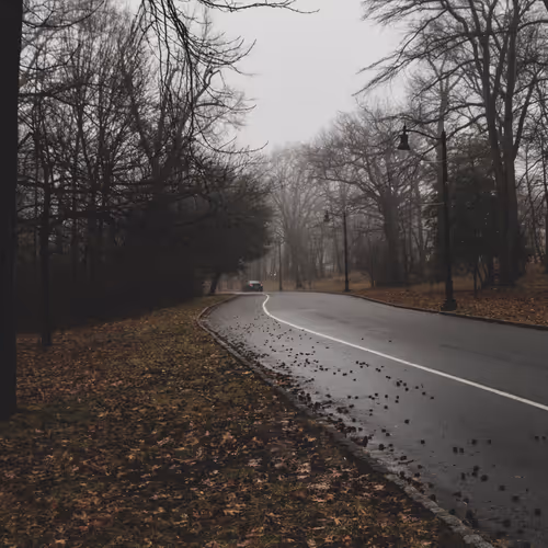 Echoes Of Solitude