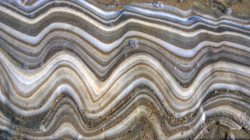 Item #95487849317578156668407947813270977219507958341613575813230836612883692912641 Media