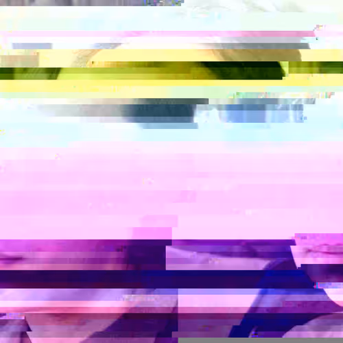 Item #39688120331520216882346326052968861929472268005541550005200635197206550282241 Media