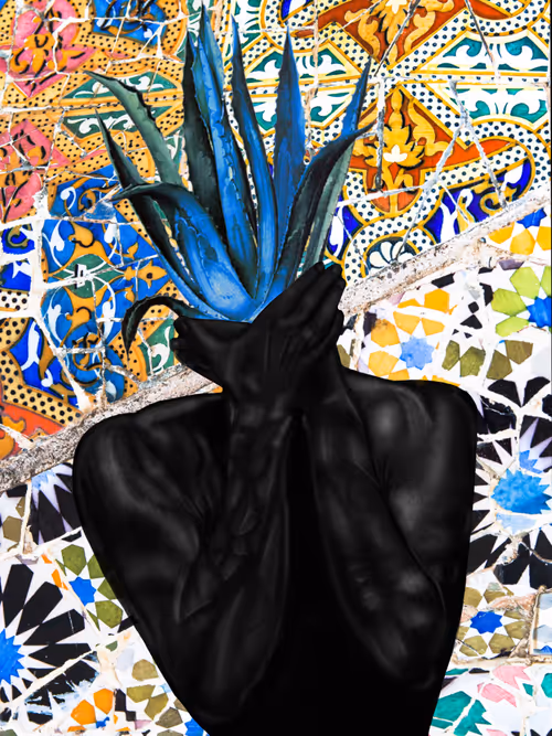 Item #68532149067550727898637062071005187429369524399661671565388127081297017307137 Media