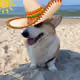42521922327686457212895804898544083662990646628225510933071544086012798959617