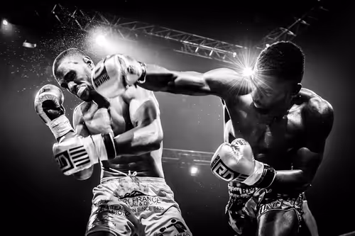 Item #7851364954592768897068665228163969148149524878586119406958365974455870554113 Media