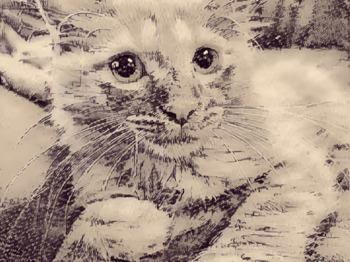 Item #70677597916389332091875359855925065117436584504780574341127713059878813564929 Media