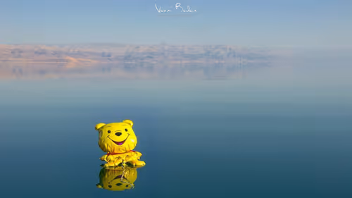 Item #95487849317578156668407947813270977219507958341613575813230836620580274307073 Media