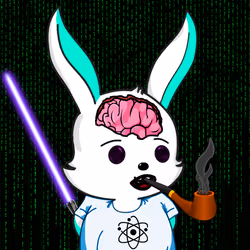 88542289232910988082985471742010113017330397052625520364867094702719395430401