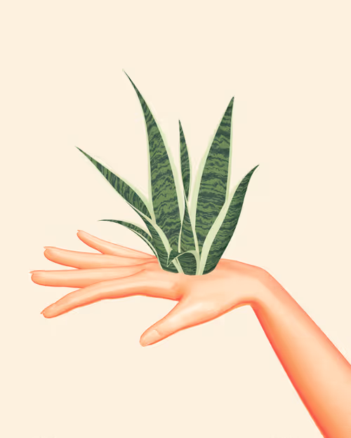 Item #75175737854990633963038132750829382025497231539213825528077744747156722417665 Media