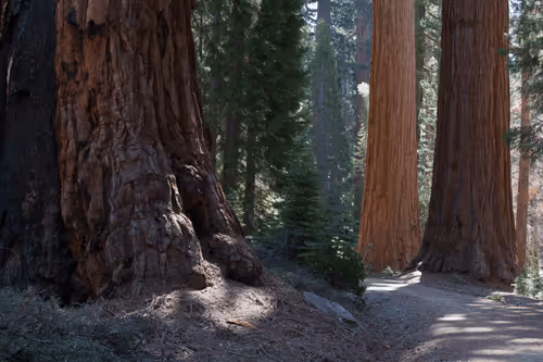 Item #31788909356613404137048829070137069187400346678612286943977180904851939262465 Media