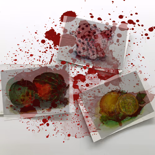 CatCreators Collection