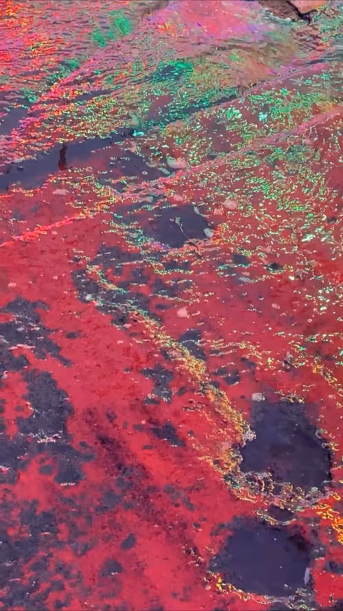 Item #62402000334580523921237358418718502457721815832787791947048085159556667146241 Media