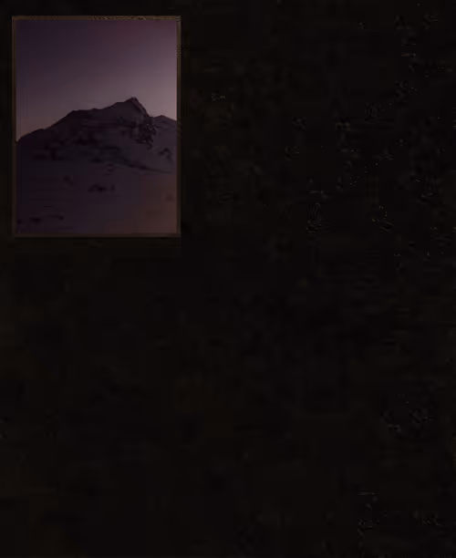 Item #9109585521216700921320633943546002484085605596253519079097705048208492724229 Media