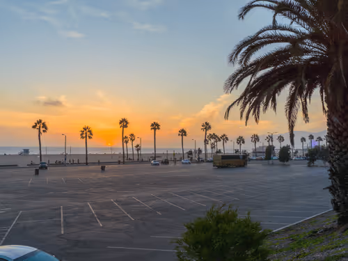 Item #62617397375757312297803897609954755559227699621957103885912270304397020364801 Media