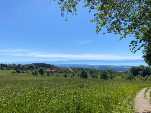 Item #82230664742410380029985225980173930657967222825059187272411913086353497128961 Media