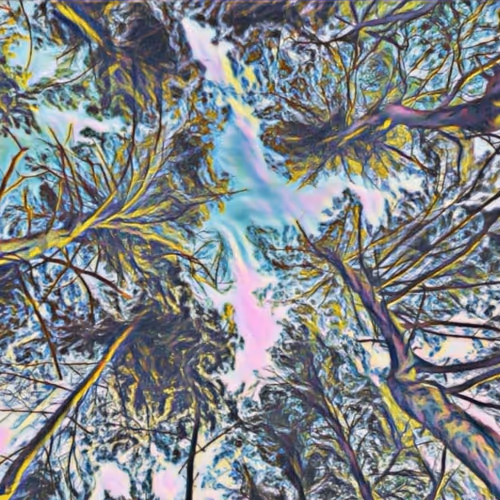 Untitled Collection #37169922