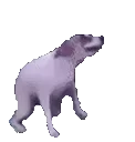 Puppy Pump