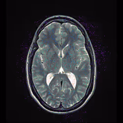 64162533542198579898252916190583583845604629893829087458582976582520854806529