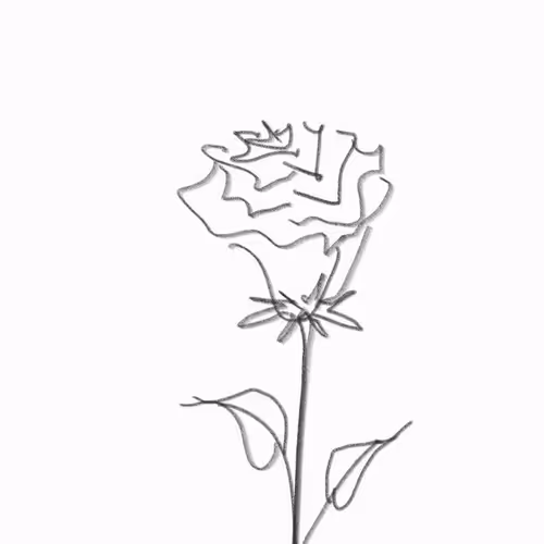Metarose