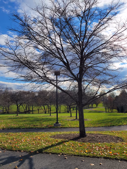 Item #61051240571971779841838649405693456424568018504308900476674196503636677230593 Media