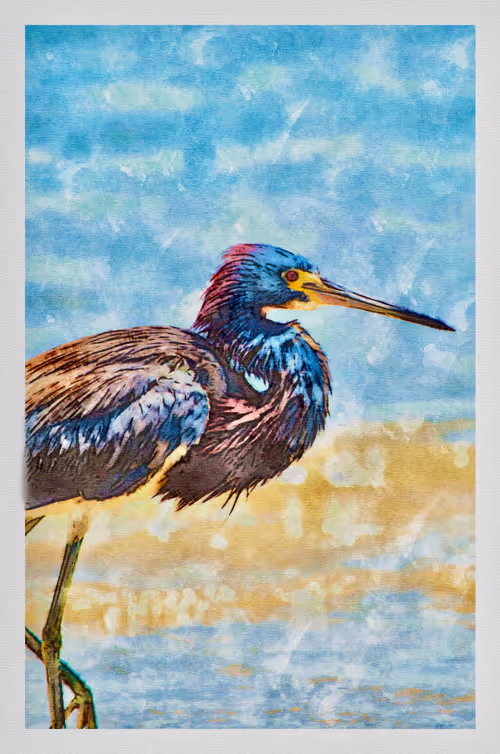 Item #55704534837685659622621715309832868758345944585427688586690141365186320138241 Media