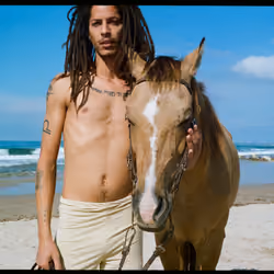 caramel horse