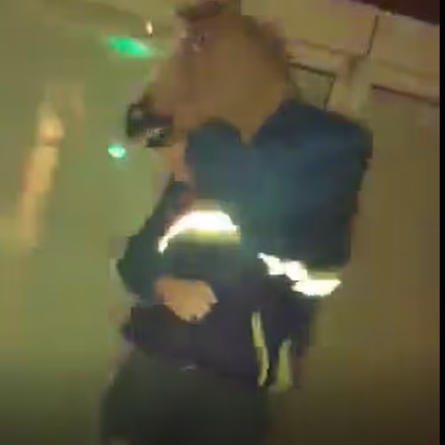 The Horse Dance 