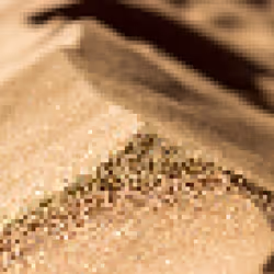 73481989221934584345250200422430111989005161062281080524061052446957874708481