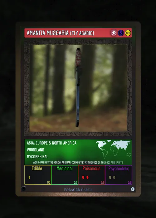 Item #73412372274297784710279054145181842019162569346562246022835392853861193482254 Media