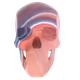 42182048788492889289806549667196404443686562810131585461840360800886873653249