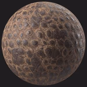 Item #15749689254076898586808365339804983594190378586840972046329500312549065752577 Media