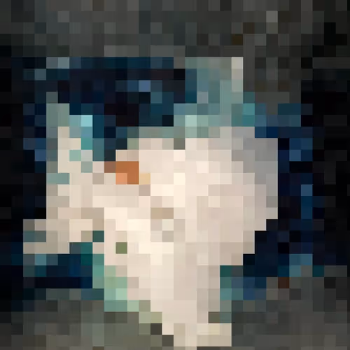 2850415134272365380187775685678842410458265265709128331682257661306909753345