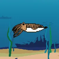 78964944229926021655968168462037545876501657311134209832205588915606832283649