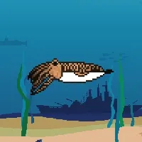 Etherfish #873