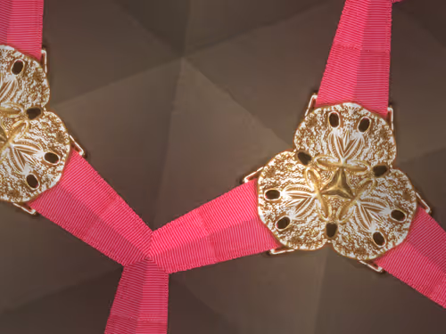 Item #69376820955182207634374405090115864776049539168882178084902512083426957328385 Media