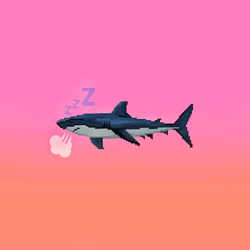 CryptoSharks #16